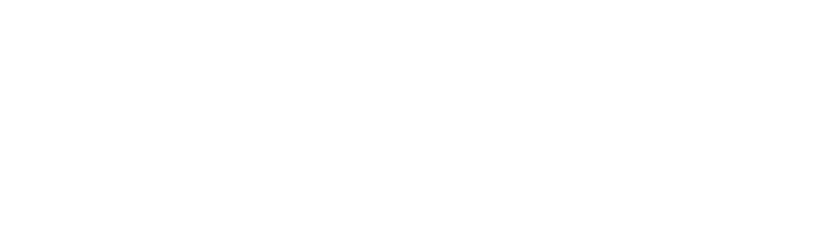 Devin